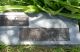 Caledonia D 'Callie Ard Barnes Headstone